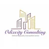 Odixcity Consulting
